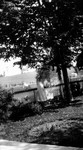 Girl on lawn and person in tree,  Leaskdale, ON.