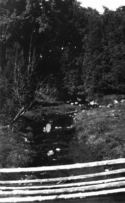 Brook at Leaskdale, ca.1911-1926.  Leaskdale, ON.