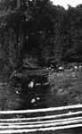 Brook at Leaskdale, ca.1911-1926.  Leaskdale, ON.