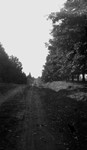 Road, Scott Township.  Leaskdale, ON.