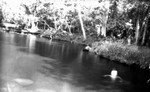 Swimming hole.  Leaskdale, ON.