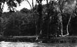 View of Credit River, Norval, ON.