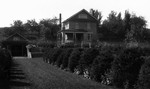 Mr. George Gollop's home (across from Dr. Webster's home), Norval, ON.