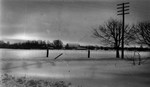 Winter Field, Norval, ON.