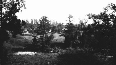 View through trees, Norval, ON.