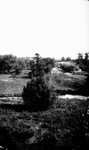 View from a hill, Norval, ON.