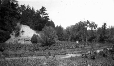 Creek, Norval, ON.