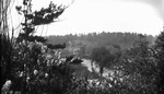 View of Credit River from hill, Norval, ON.