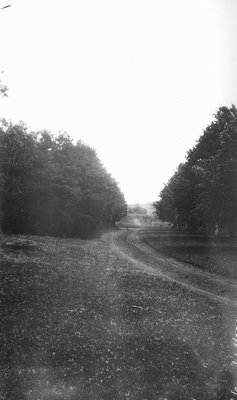 Curving road, Glen Williams, ON.