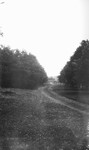 Curving road, Glen Williams, ON.