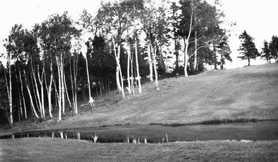 Treeline on hill above creek