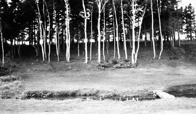 Treeline on hill, with stairs and bridge over creek