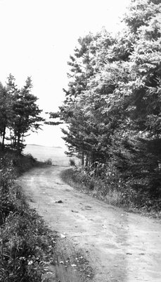 Road, Lover's Lane, P.E.I.