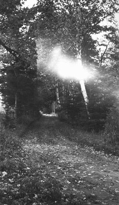 Road, Lover's Lane, Cavendish, P.E.I.