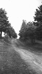 Road, Cavendish, P.E.I.?