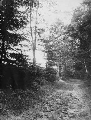 Lover's Lane, Cavendish, P.E.I.