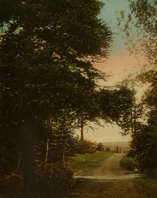 Lover's Lane, Cavendish, P.E.I.