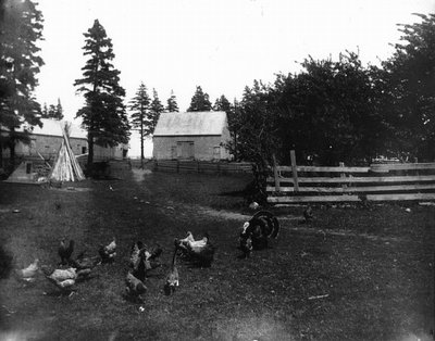 Old barnyard, Cavendish-1890's