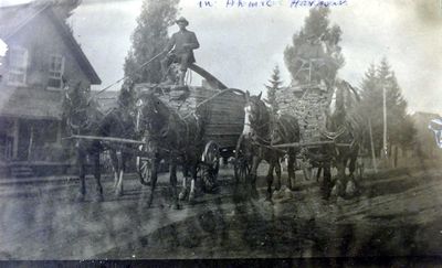 An early picture of Ahmic Harbour