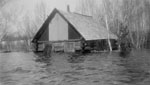 Flooded Cabin on Maple Island, 1922