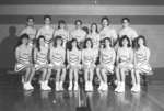 Wilfrid Laurier University cheerleading team, 1990-1991