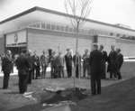 Tree planting at Waterloo Lutheran University spring convocation 1963