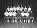 Wilfrid Laurier University men's volleyball team
