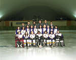 Wilfrid Laurier University women's hockey team, 1994-1995