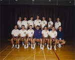 Wilfrid Laurier University men's volleyball team