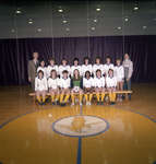 Wilfrid Laurier University women's soccer team, 1984