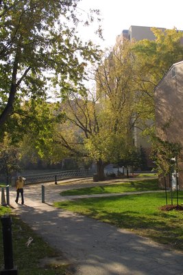 Wilfrid Laurier University campus