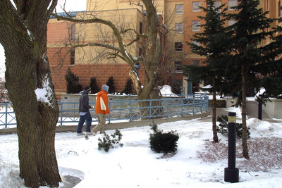 Two students walking on Wilfrid Laurier University campus