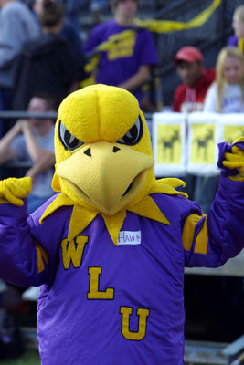 Golden Hawk At Wilfrid Laurier University Homecoming Game 03 Laurier Library Images