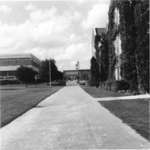 Waterloo Lutheran University campus