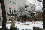 Quadrangle, Wilfrid Laurier University