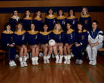 Wilfrid Laurier University women's volleyball team, 1988-1989