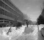 Woman walking on Wilfrid Laurier University campus