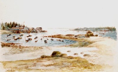 Southwest Harbour at Low Tide