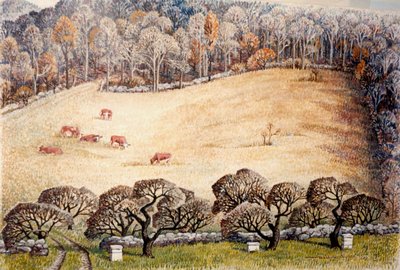 Pasture in November