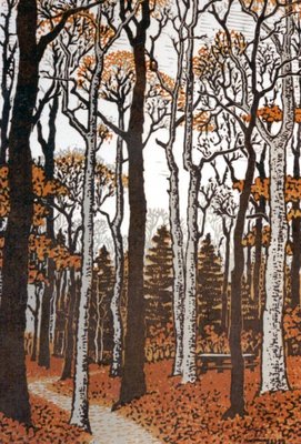 The Woods In November