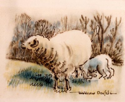 Ewe and Lamb