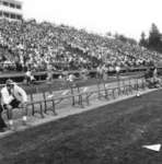 Crowd at Seagram Stadium, Waterloo Lutheran University