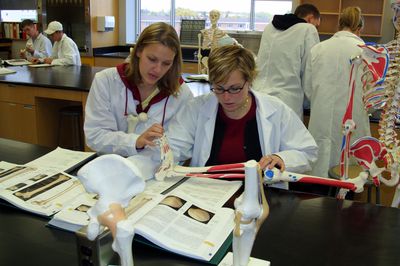 Students examine skeleton model biology class, 2002