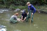 Three students in river on biology field trip, 2003