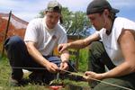 Laurier Brantford dig, 2004