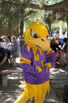 Golden Hawk mascot at a Laurier fundraising barbecue, 2006