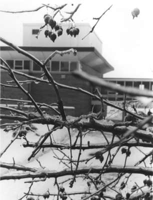 Waterloo Lutheran University campus