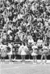 Fans at Wilfrid Laurier University football game