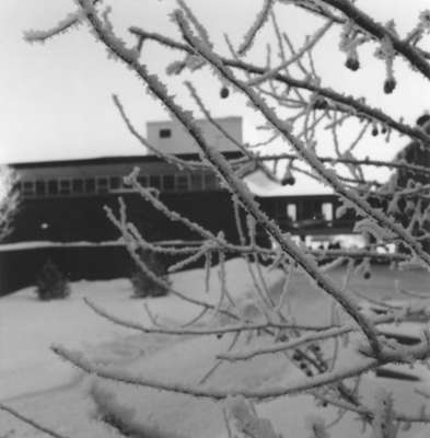 Waterloo Lutheran University campus