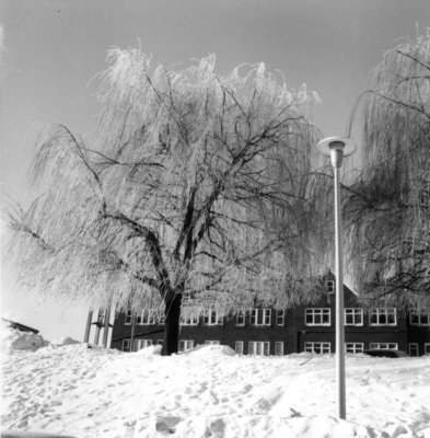 Rear view of Willison Hall